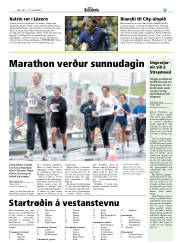 Síða 23