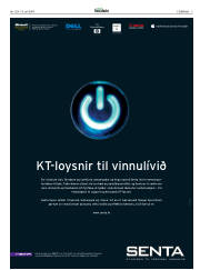 Síða 3