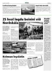 Síða 7