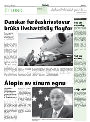 Síða 11