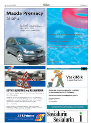 Síða 25