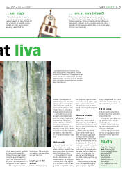 Síða 5