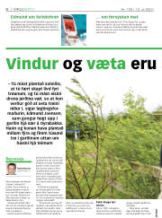 Síða 6