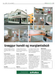 Síða 19