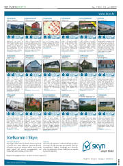 Síða 20