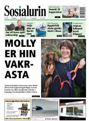Síða 1