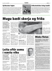 Síða 9