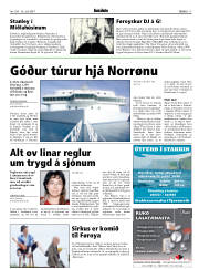 Síða 17