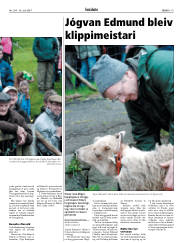 Síða 19