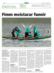 Síða 22