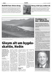 Síða 8