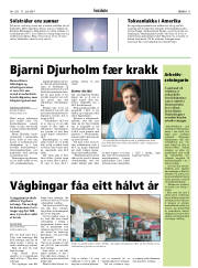 Síða 11