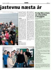 Síða 17