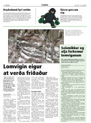 Síða 20