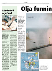 Síða 14