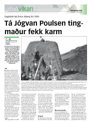 Síða 17