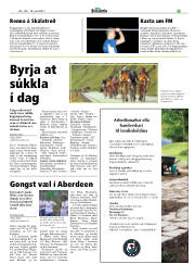 Síða 21