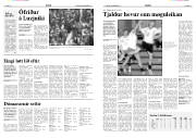 Síða 13