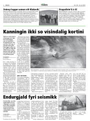 Síða 8