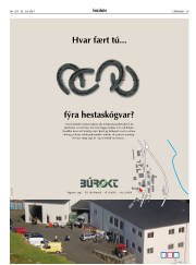Síða 39