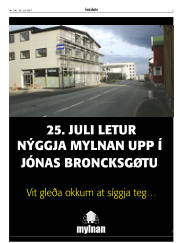 Síða 3