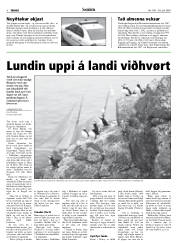 Síða 8