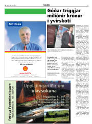 Síða 21