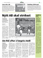 Síða 29
