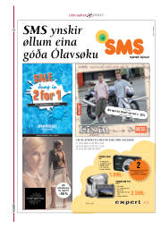 Síða 18