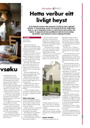 Síða 25