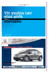 Síða 29