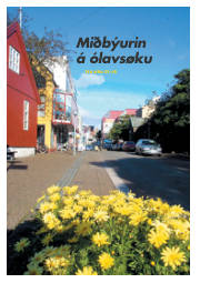 Síða 33