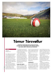 Síða 58
