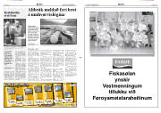 Síða 3