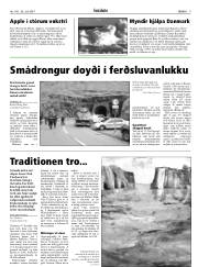 Síða 9