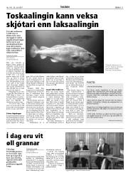 Síða 11