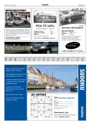 Síða 31