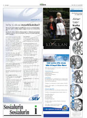 Síða 6
