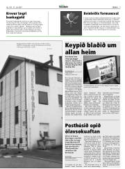 Síða 9