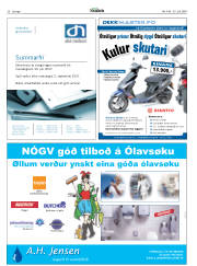 Síða 30