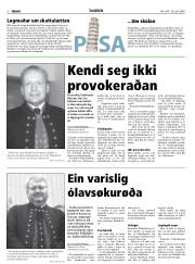 Síða 8