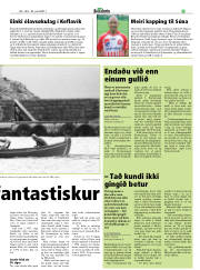 Síða 25