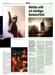 Síða 17