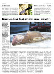 Síða 20