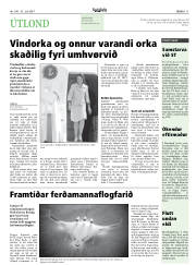 Síða 11