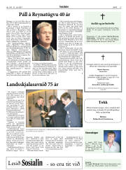 Síða 15