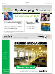 Síða 20