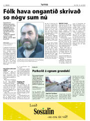 Síða 22