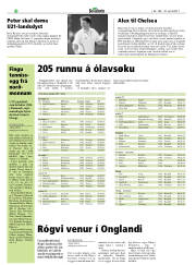 Síða 28