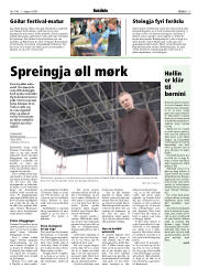Síða 17